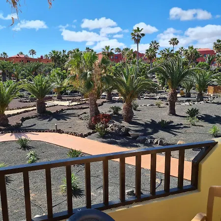 Oasis Royal F320 * Corralejo